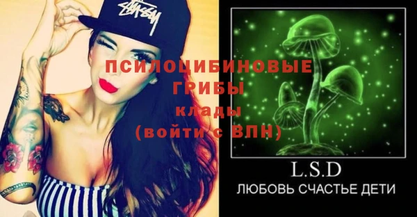 Альфа ПВП Аркадак