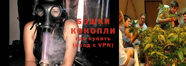 шишки Нязепетровск