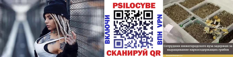 Галлюциногенные грибы Psilocybe  hydra   Светлоград 