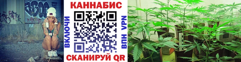 закладка  Светлоград  ОМГ ОМГ tor  Бошки Шишки ГИДРОПОН 